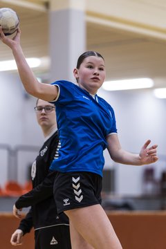 Bild 137 - wCJ TSV Ellerau - SG Pahlhude/Tellingstedt : Ergebnis: 21:18